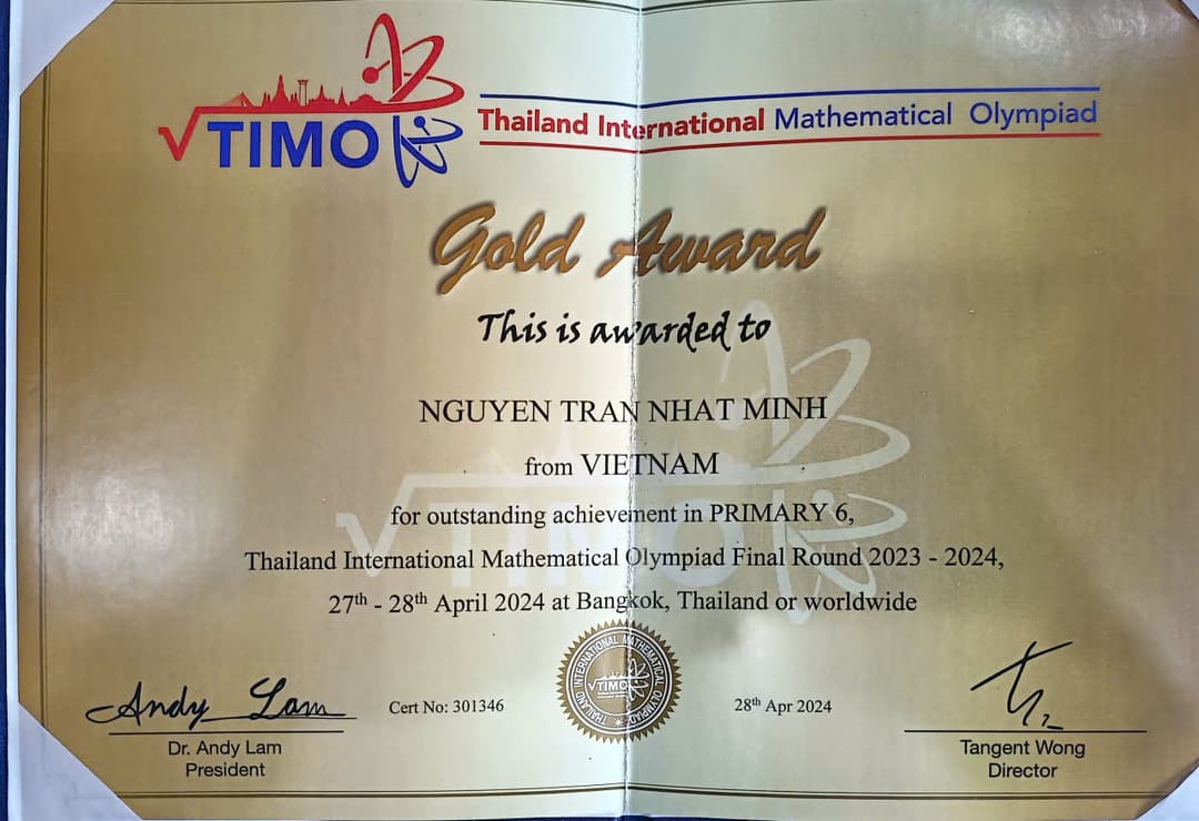 TIMO International Final - Gold Medal